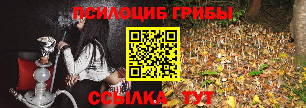 Галлюциногенные грибы прущие грибы Чита
