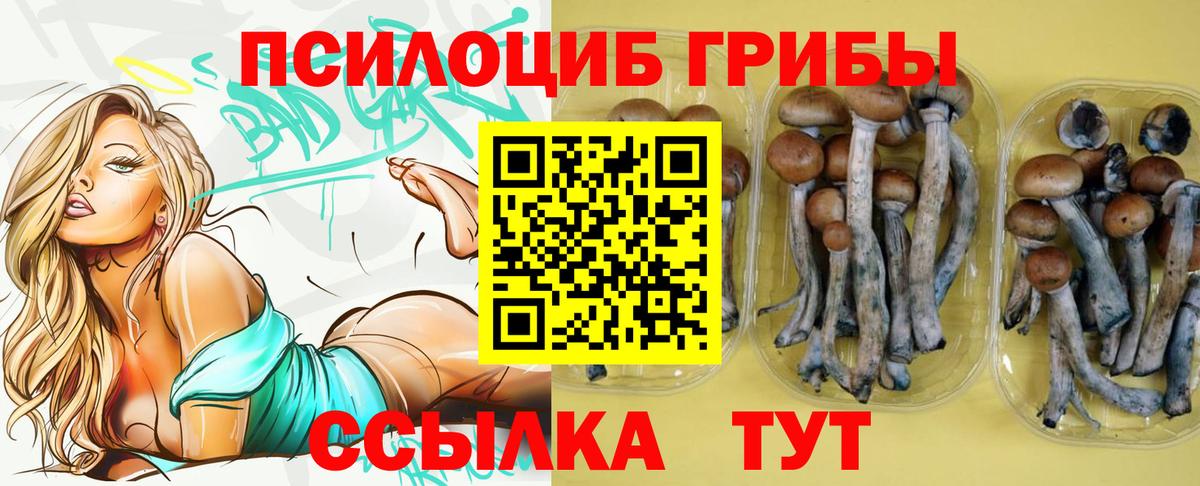 Псилоцибиновые грибы прущие грибы  Вход с VPN  Чита 